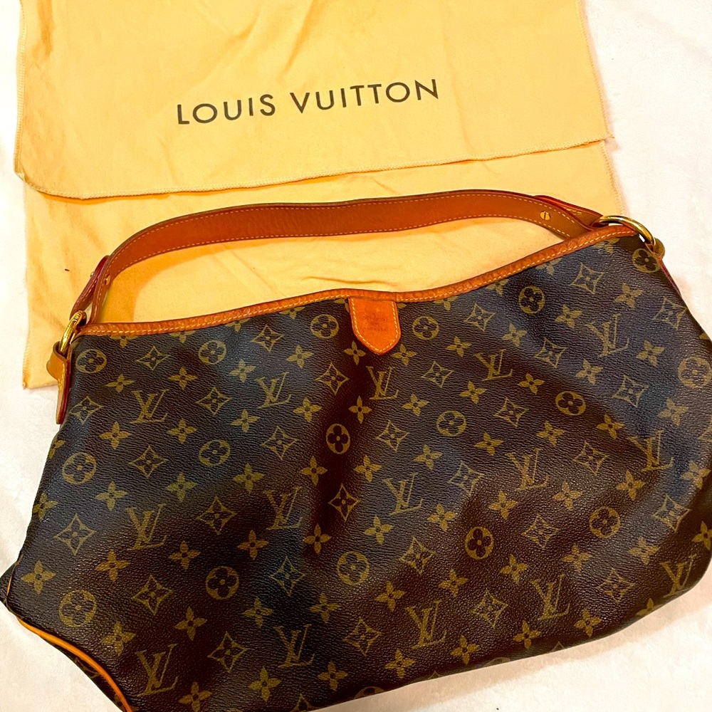 Authentic Louis Vuitton Delightful Bag
